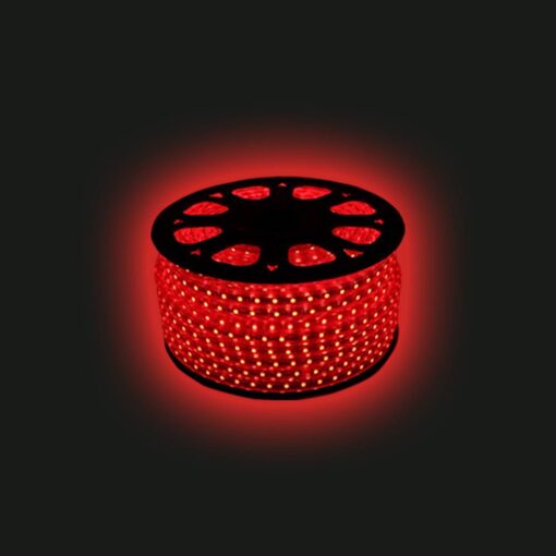 ไฟเส้นLED IWACHI 5050 50M - Image 2
