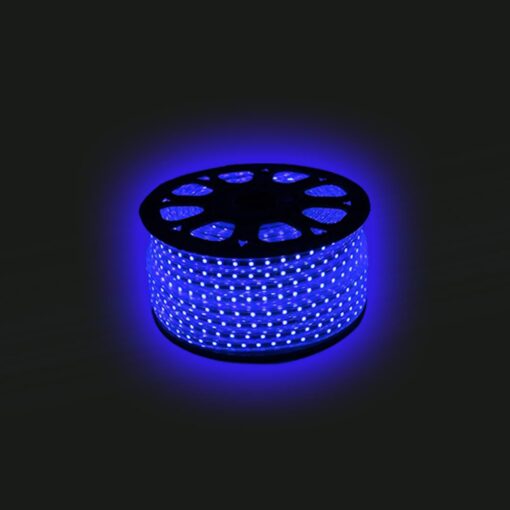 ไฟเส้นLED IWACHI 5050 50M - Image 3
