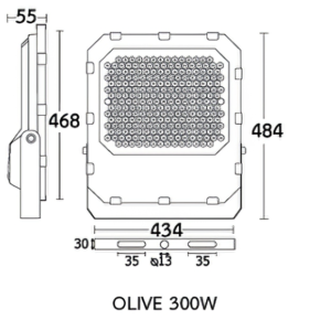 สปอร์ตไลท์ LED 300W BEC Olive