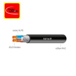 สายไฟ CV THAI UNION 0.6/1kV 2C